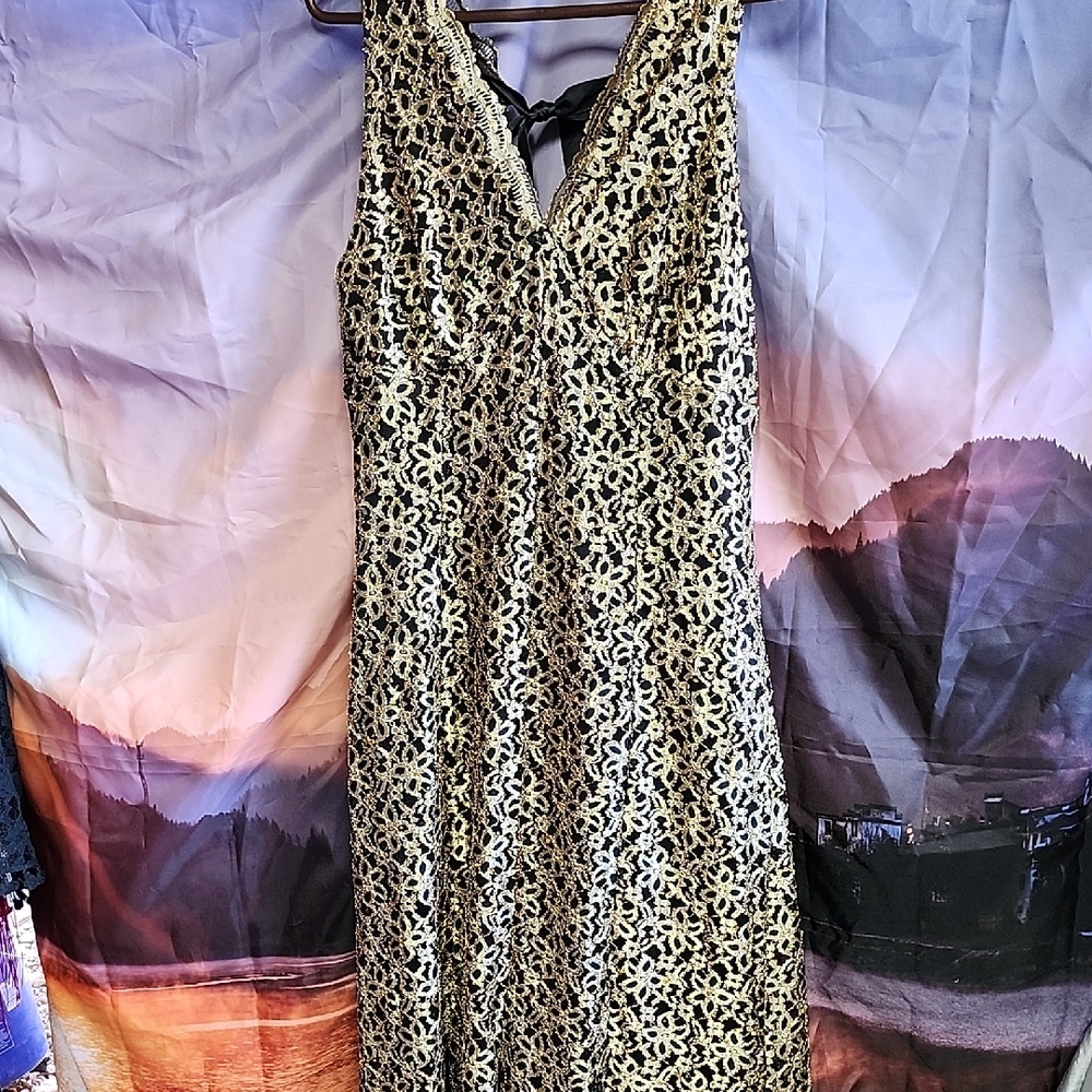**Candlelites Chic Black and Gold Backless Dress
